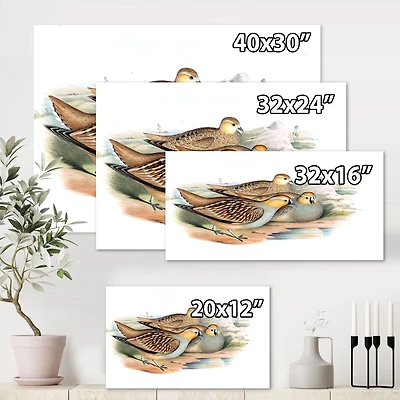 Vintage Birds The Wild III  Wall Art