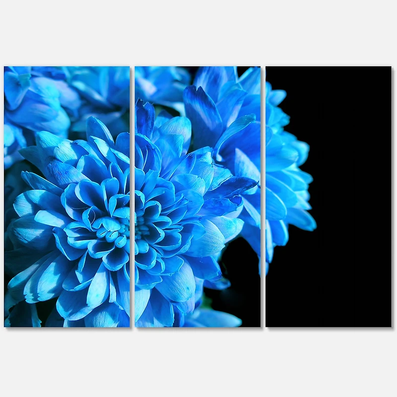 Detail of Blue Flowers on Black I Canvas Wall Art