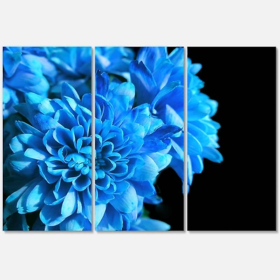 Detail of Blue Flowers on Black I  Canvas Wall Art