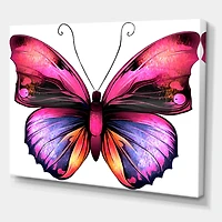 Bright Pink Butterfly Portrait  Wall Art