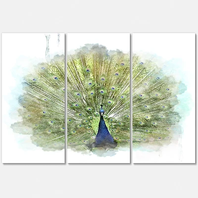 Peacock Bird Canvas Wall Art - 3 Panels