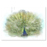 Toile « Peacock Bird »