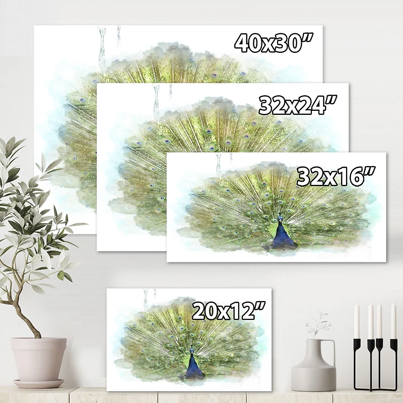 Toile « Peacock Bird »