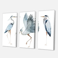 Heron Birds II  Canvas Wall Art