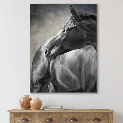 Portrait of A Black Horse  Canvas Wall Art Print