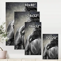 Portrait of A Black Horse  Canvas Wall Art Print