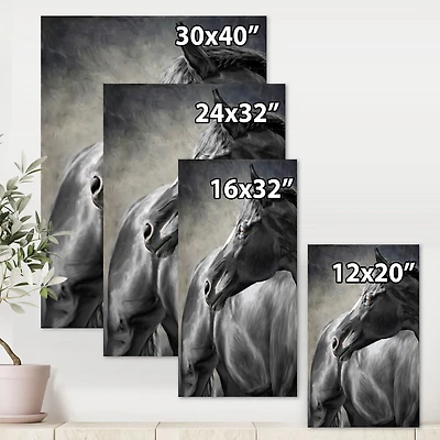 Portrait of A Black Horse  Canvas Wall Art Print