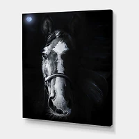 Horse Staring Sinister  Wall Art