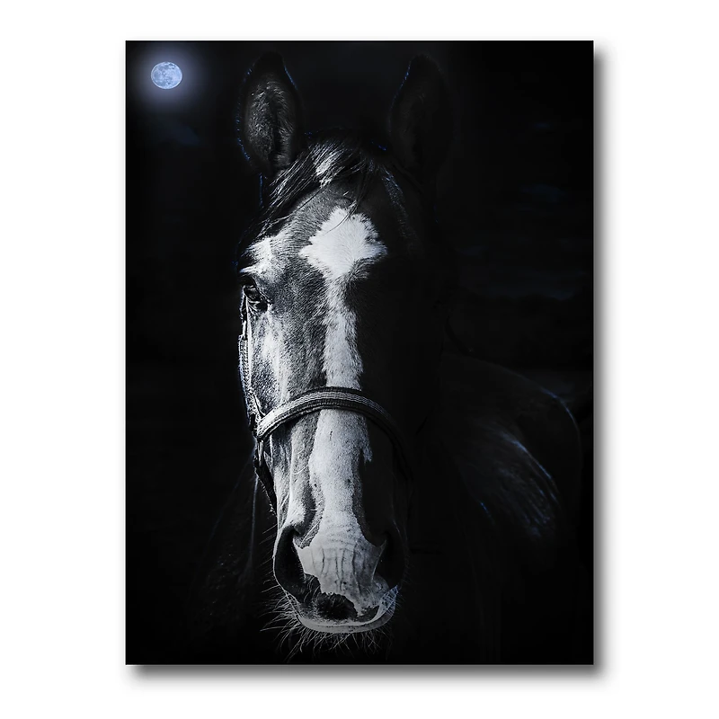 Horse Staring Sinister  Wall Art
