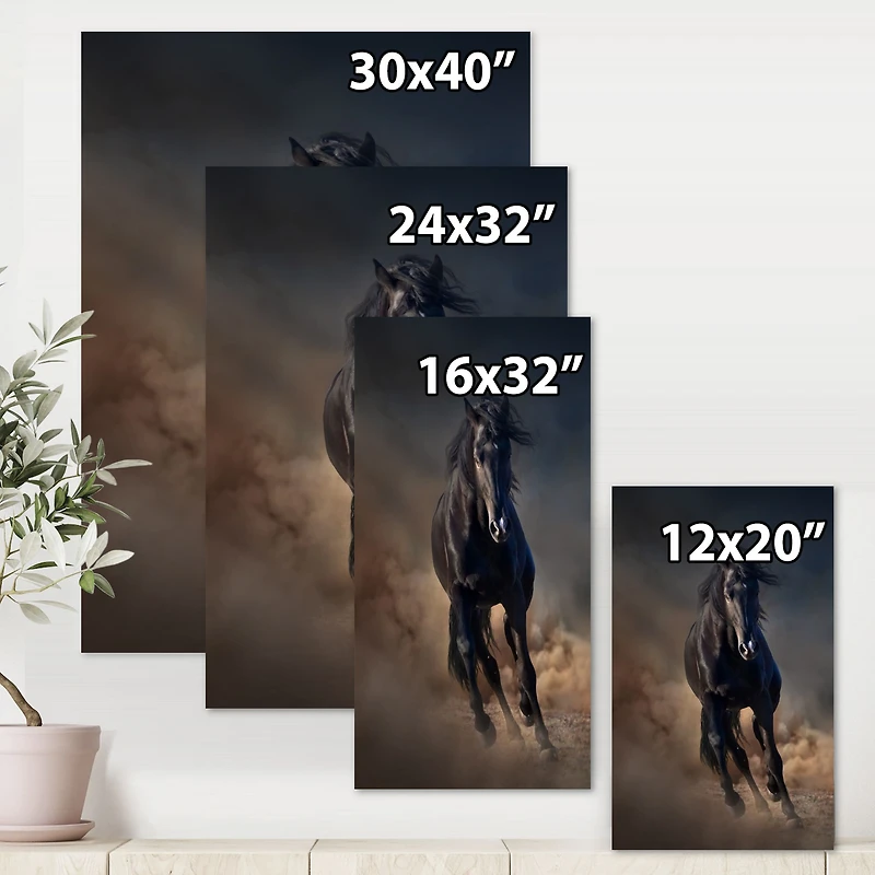 Portrait of Thoroughbred Nonius Stallion Horse I  Wall Art