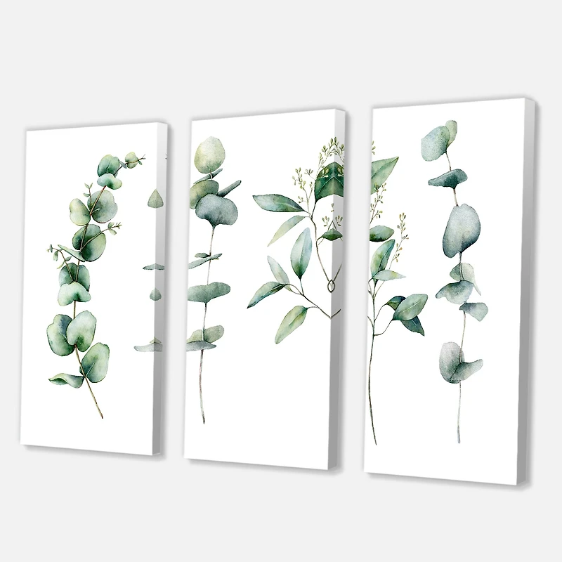 Green Eucalyptus Branches I Canvas Wall Art Print