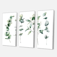 Green Eucalyptus Branches I  Canvas Wall Art Print