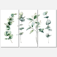 Green Eucalyptus Branches I  Canvas Wall Art Print