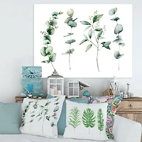 Green Eucalyptus Branches I  Canvas Wall Art Print