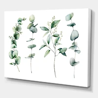 Green Eucalyptus Branches I  Canvas Wall Art Print