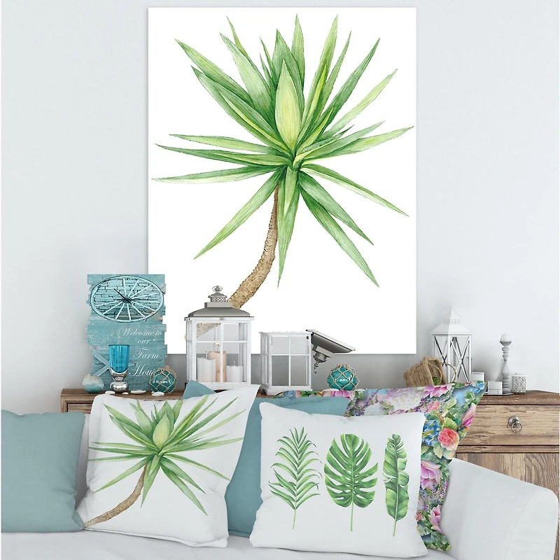 Detail of Yucca Tree  Canvas Wall Art Print
