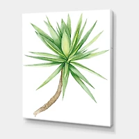 Detail of Yucca Tree  Canvas Wall Art Print