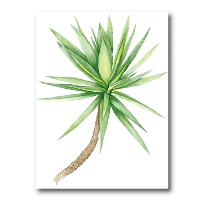 Toile « Detail of Yucca Tree »