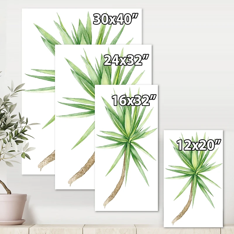 Detail of Yucca Tree  Canvas Wall Art Print