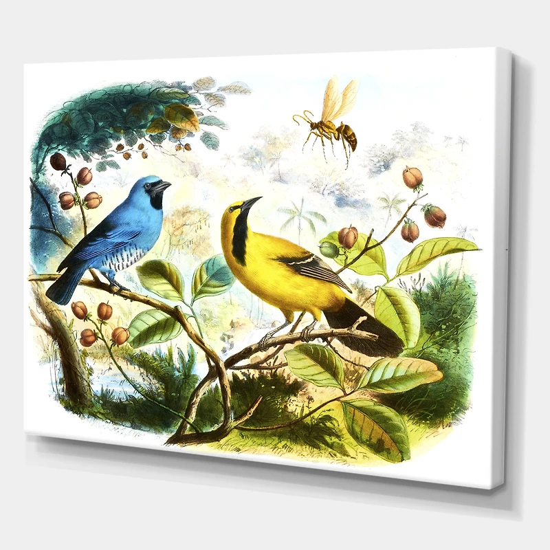 Toile « Blue and Yellow Bird The Wild »