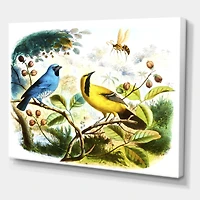 Toile « Blue and Yellow Bird The Wild »