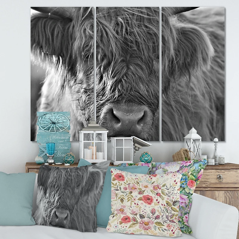 Scottish Highland Cows Living on Moorland Wall Art