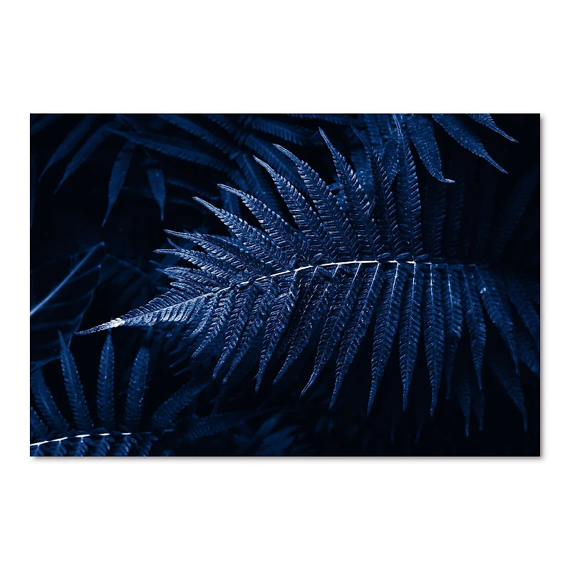 Tropical Leaves The Color of Year 2020