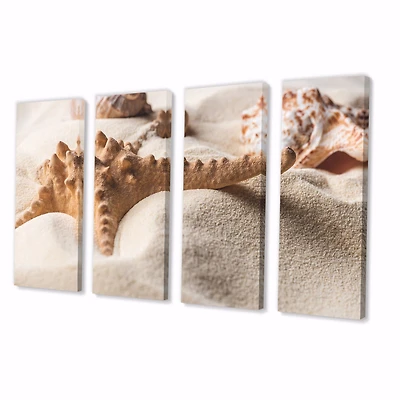 Close Up of Starfish and Seashell on Light Sand Canvas Wall Art Print Panels
