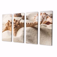 Close Up of Starfish and Seashell on Light Sand Canvas Wall Art Print Panels
