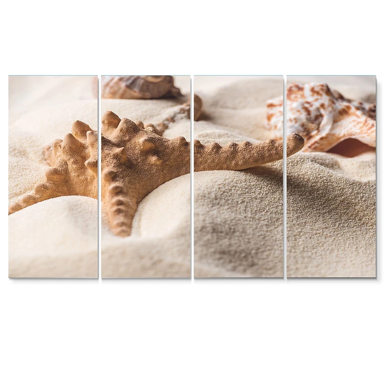 Close Up of Starfish and Seashell on Light Sand Canvas Wall Art Print Panels