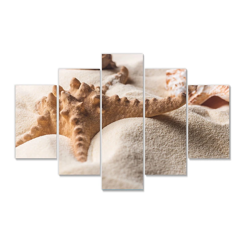 Close Up of Starfish and Seashell on Light Sand Canvas Wall Art Print Panels