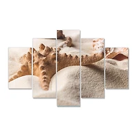 Close Up of Starfish and Seashell on Light Sand Canvas Wall Art Print Panels