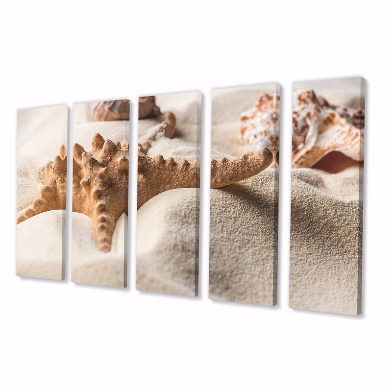 Close Up of Starfish and Seashell on Light Sand Canvas Wall Art Print Panels
