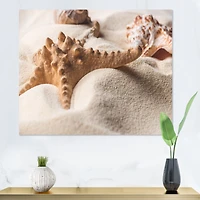Close Up of Starfish and Seashell on Light Sand Canvas Wall Art Print