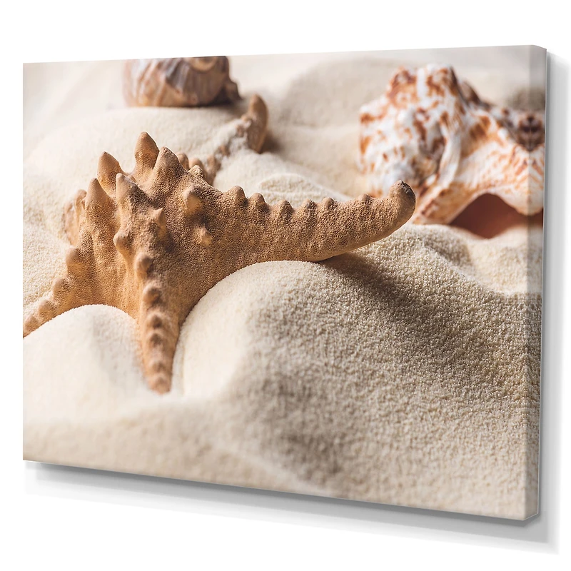Close Up of Starfish and Seashell on Light Sand Canvas Wall Art Print