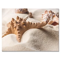 Close Up of Starfish and Seashell on Light Sand Canvas Wall Art Print