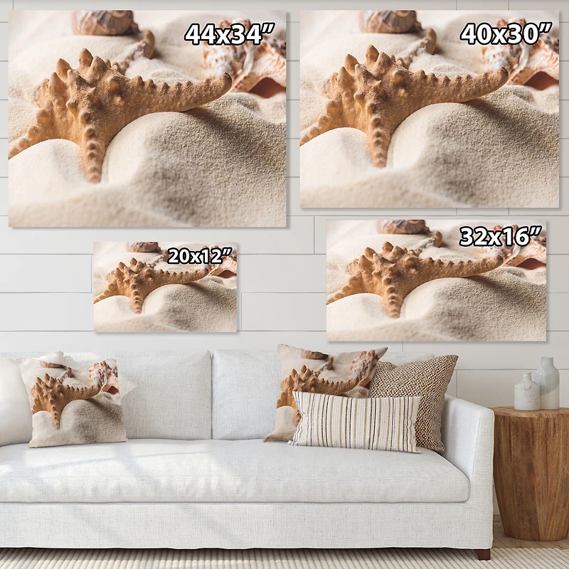Close Up of Starfish and Seashell on Light Sand Canvas Wall Art Print