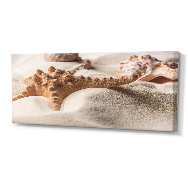 Close Up of Starfish and Seashell on Light Sand Canvas Wall Art Print