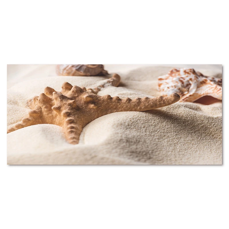 Close Up of Starfish and Seashell on Light Sand Canvas Wall Art Print