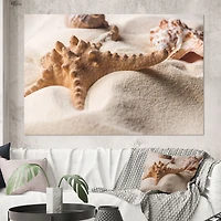 Close Up of Starfish and Seashell on Light Sand Canvas Wall Art Print