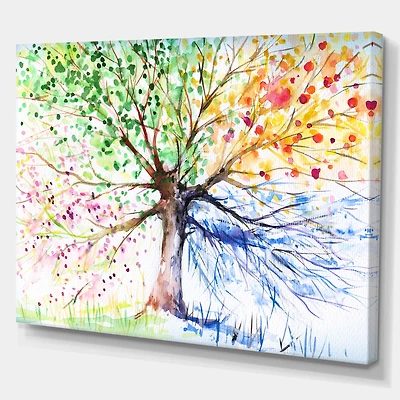 Four Seasons Tree  Canvas Art Print