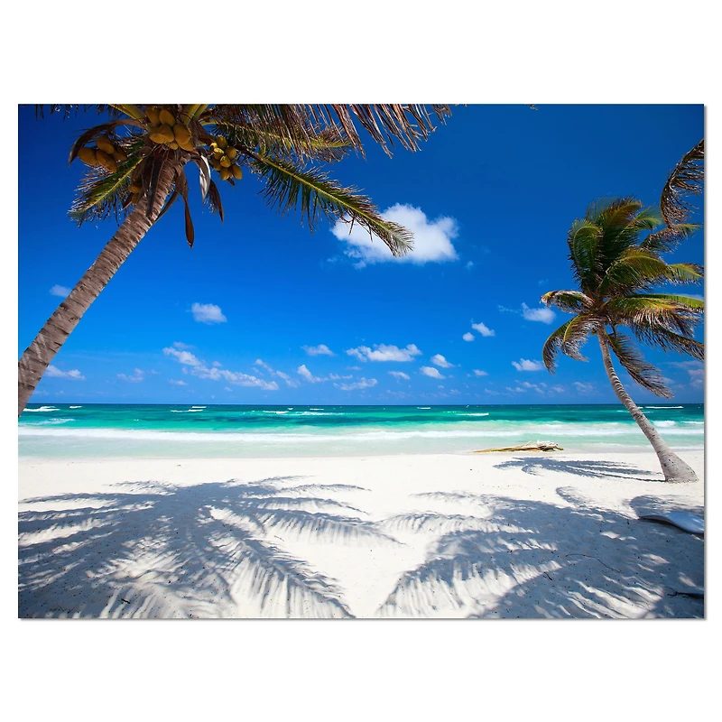 Coconut Palms at Beach Wall Art