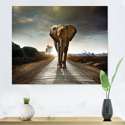 Single Walking Elephant  Canvas Art Print