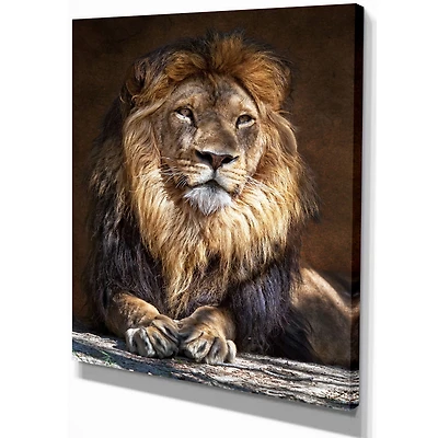 King Lion with Lighted Face  Wall Art
