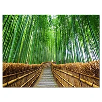 Path to Bamboo Forest  Wall Art