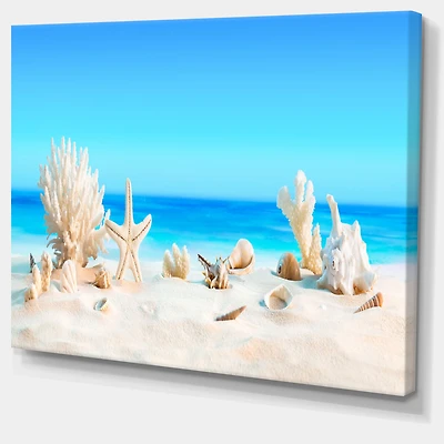 Seashells on Tropical  Wall Art