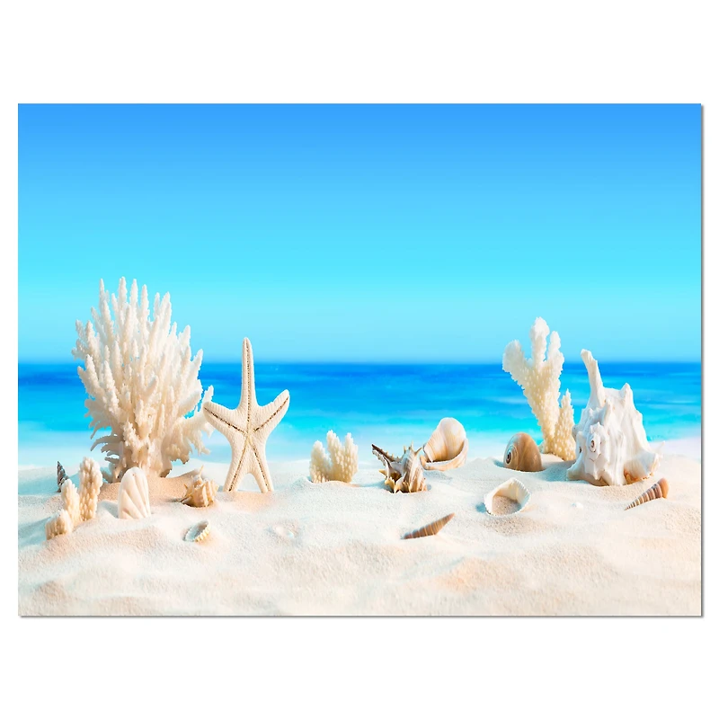 Seashells on Tropical  Wall Art
