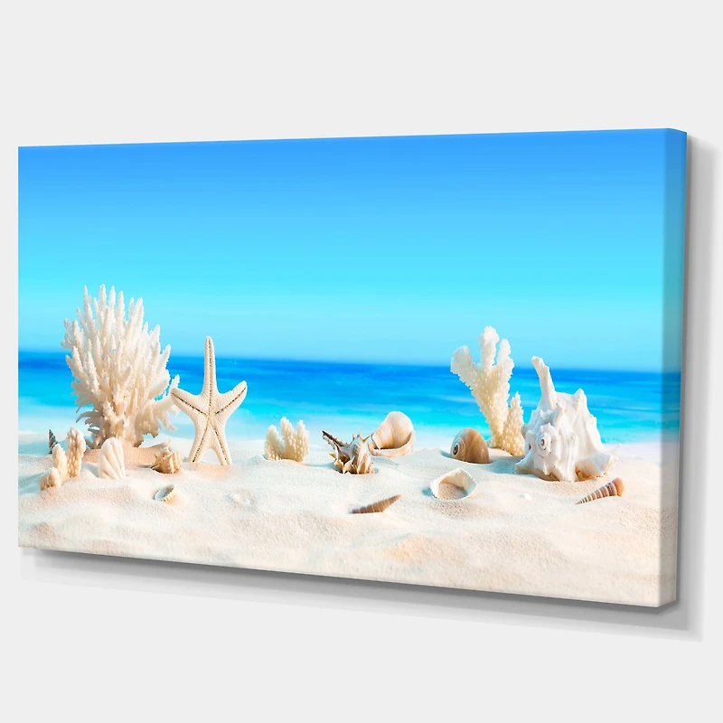 Seashells on Tropical  Wall Art