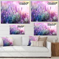 Growing and Blooming Lavender Canvas Print