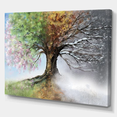 Tree with Four Seasons  Canvas Art Print